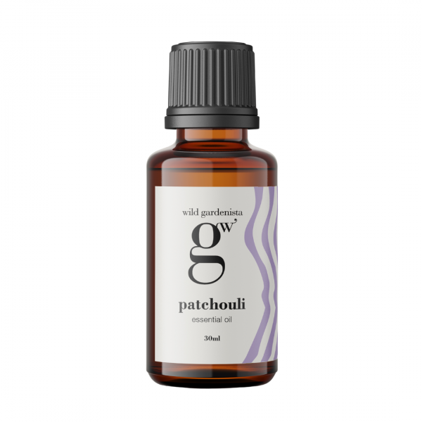 Organic essential oil patchouli