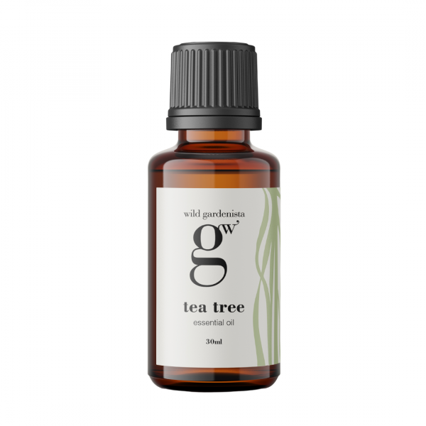Essential oil geranium te tree organic
