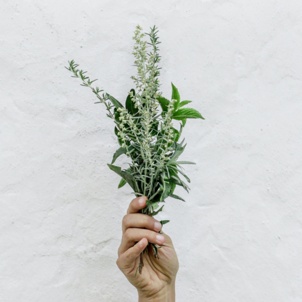 rosemary oil essential oil